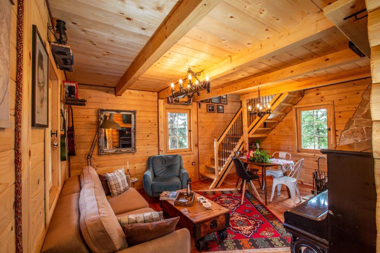 Villa Piccolo Orso Zabljak  Luaran gambar