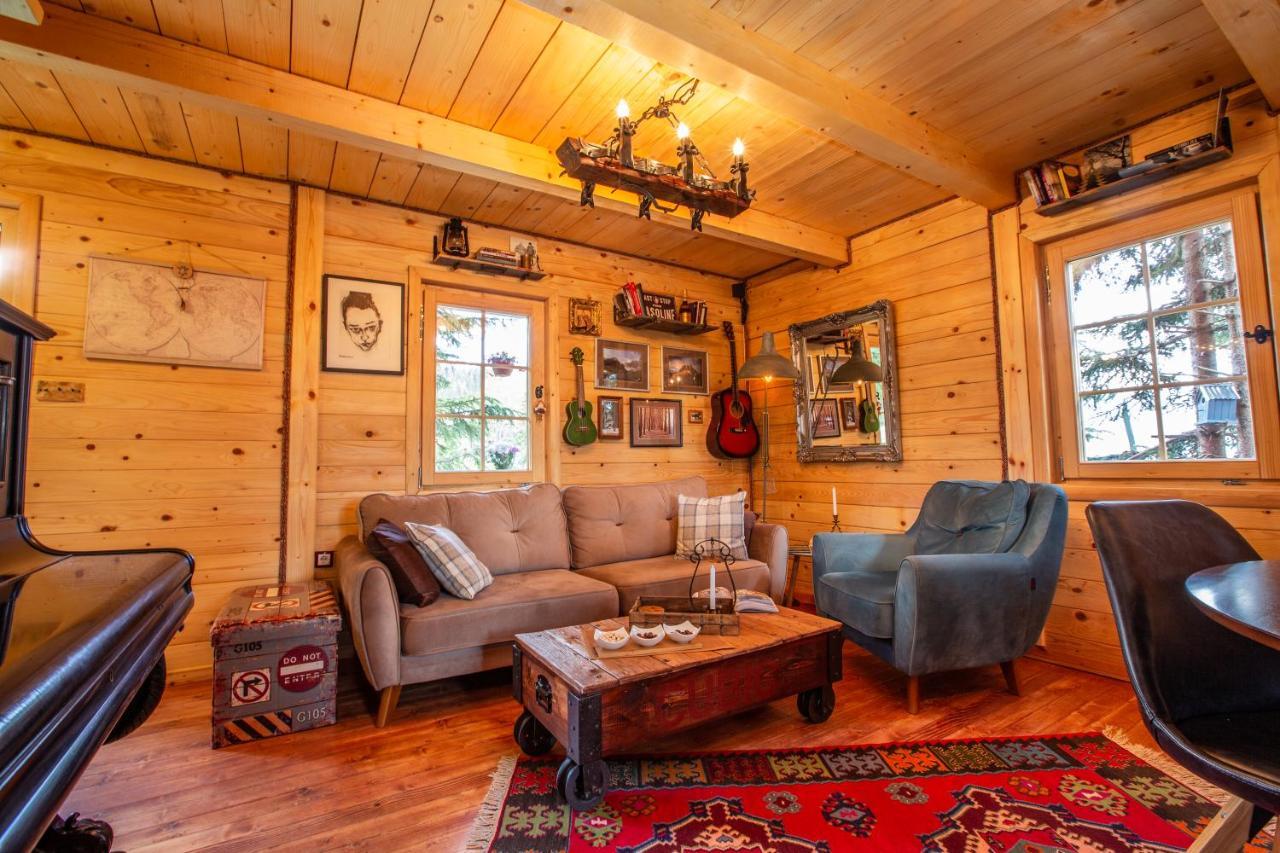 Villa Piccolo Orso Zabljak  Luaran gambar