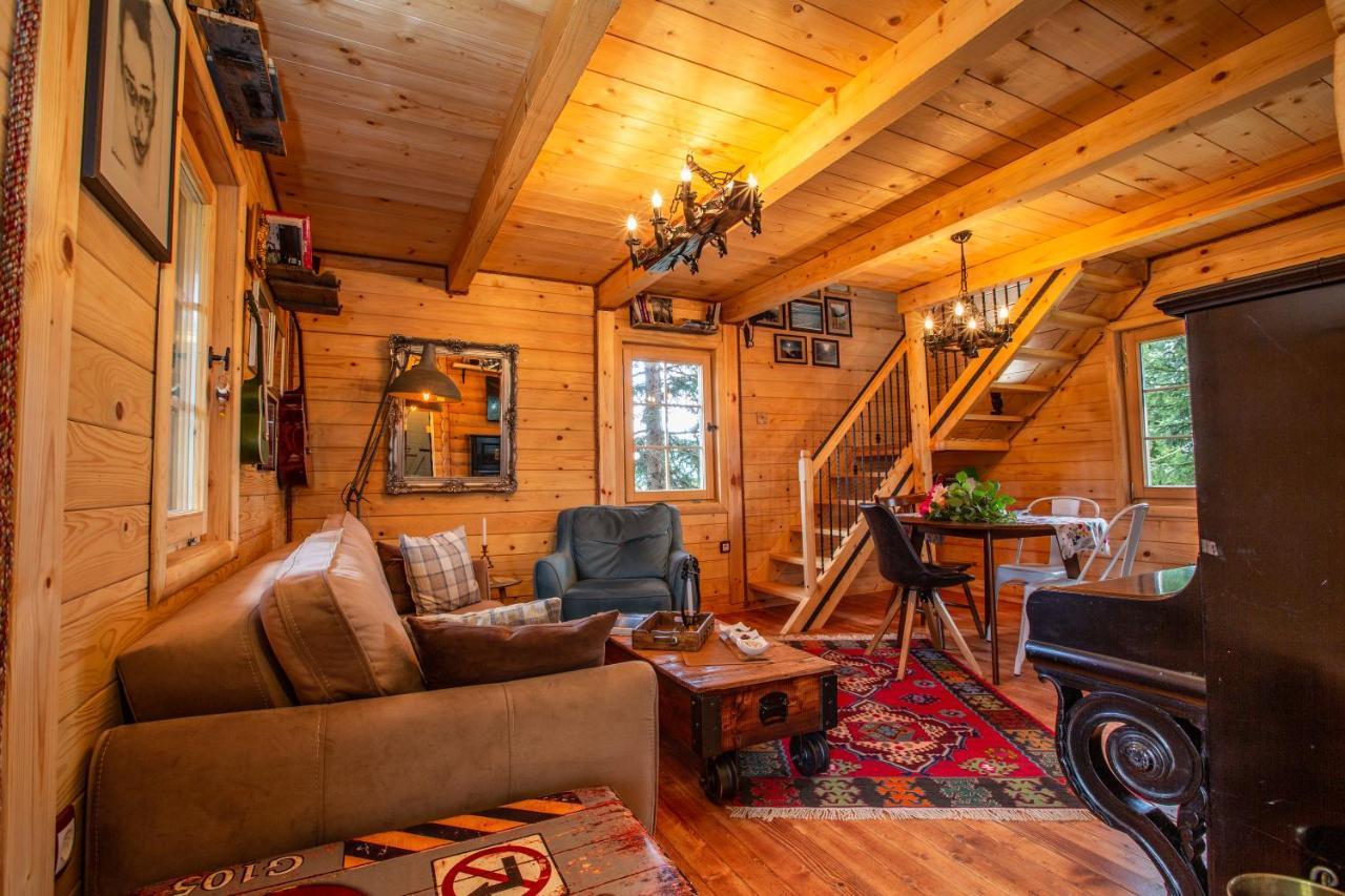 Villa Piccolo Orso Zabljak  Luaran gambar