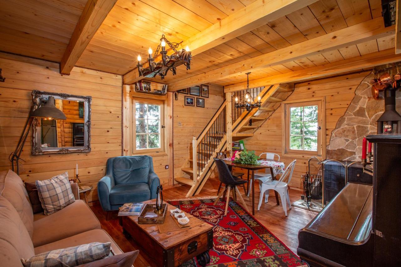 Villa Piccolo Orso Zabljak  Luaran gambar
