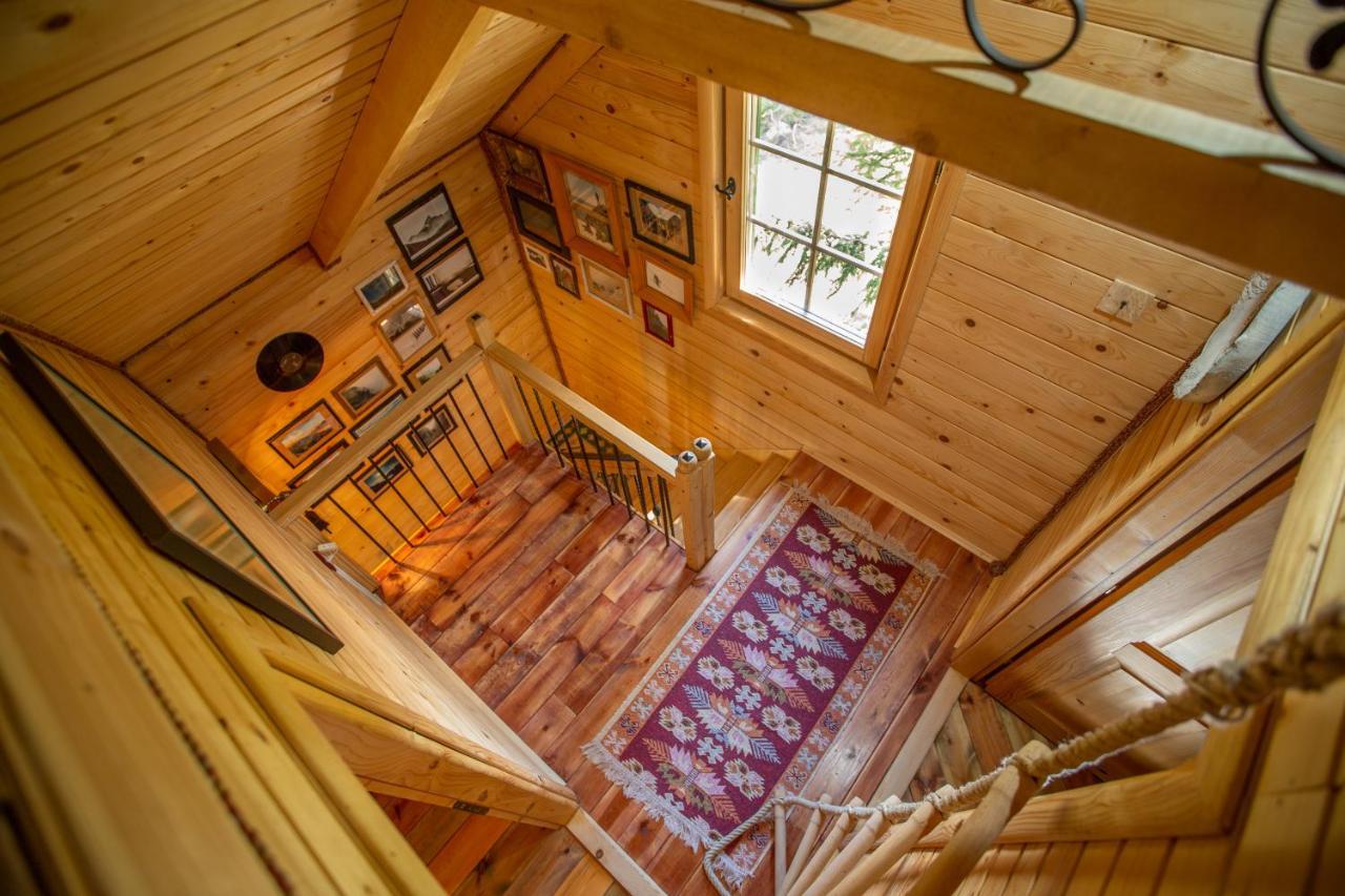 Villa Piccolo Orso Zabljak  Luaran gambar
